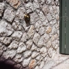 02.Τοιχοποιία Αργολιθιάς με πέτρα Άρτας.